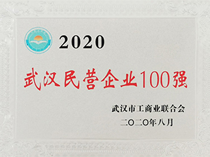  2020武漢民營企業100強